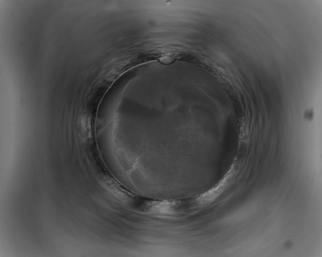 X0000100330182200806051543