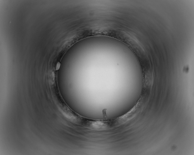 X0000100330183200806051543