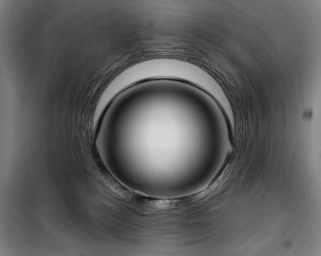 X0000100330184200806051543