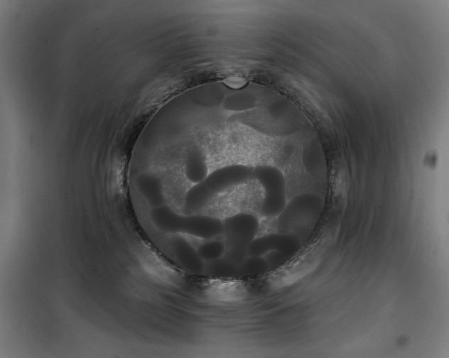 X0000100330185200806051543