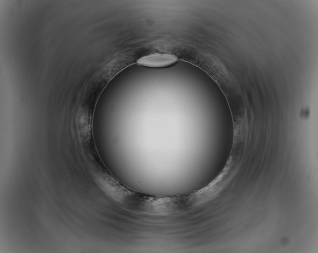 X0000100330186200806051543