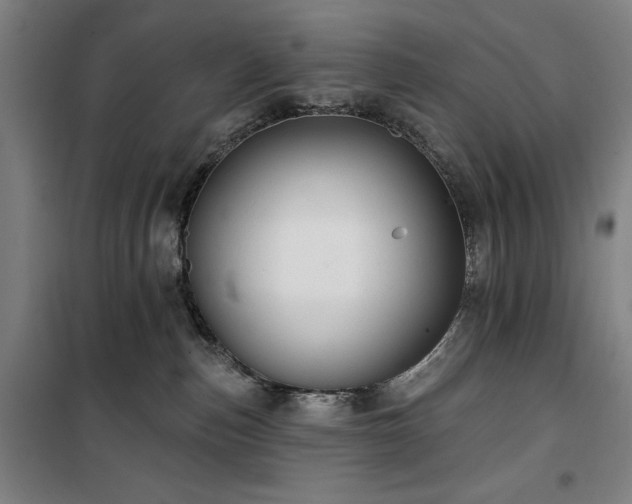 X0000100330187200806051543