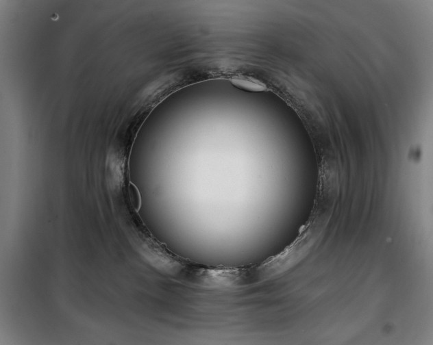 X0000100330188200806051543