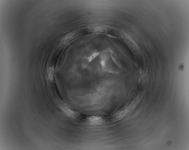 X0000100330189200806051543