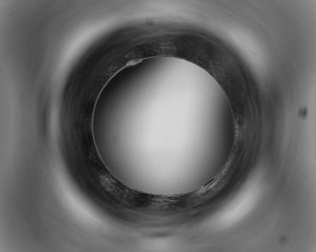 X0000100330190200806051543