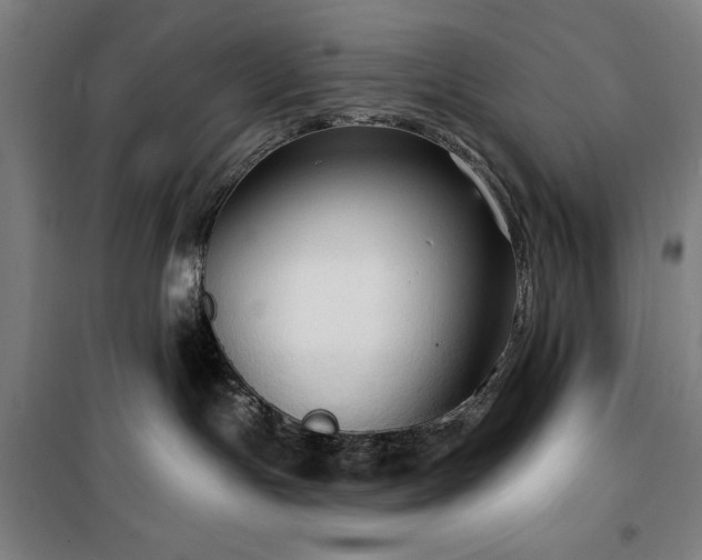 X0000100330191200806051543