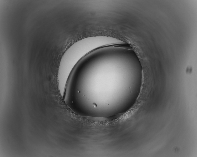 X0000100330192200806051543