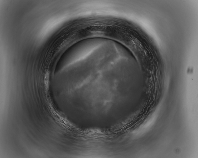 X0000100330194200806051542