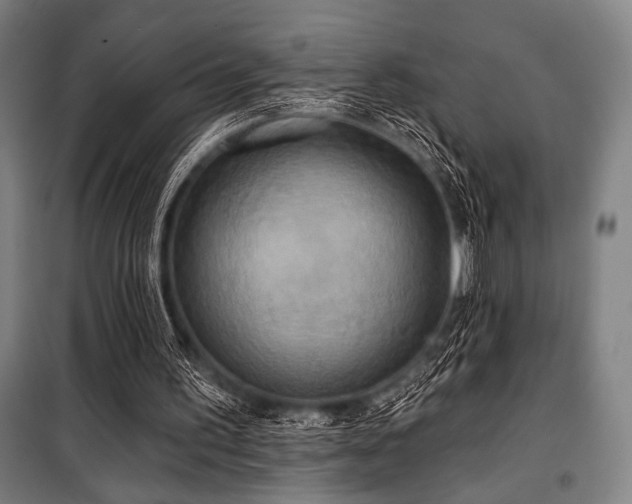 X0000100330195200806051542