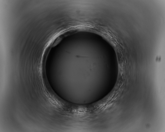 X0000100330196200806051542