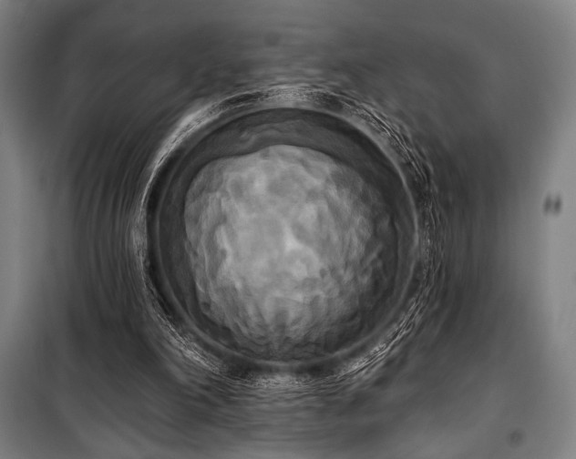 X0000100330198200806051542