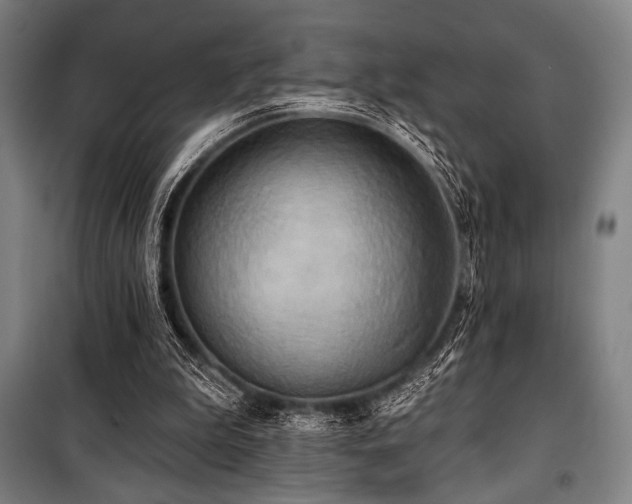 X0000100330199200806051542