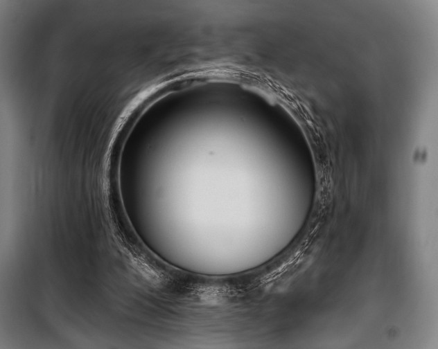 X0000100330200200806051542