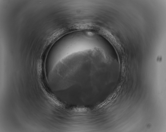 X0000100330202200806051542