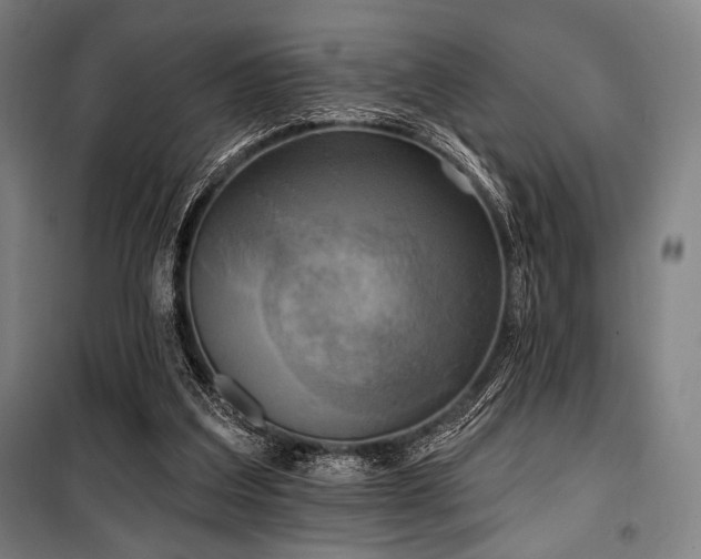 X0000100330203200806051542