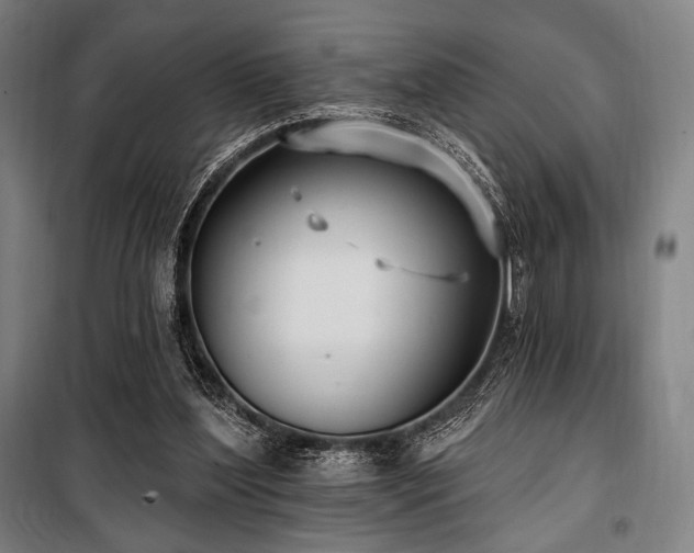 X0000100330204200806051542