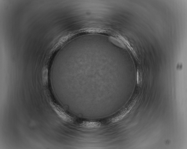 X0000100330205200806051542