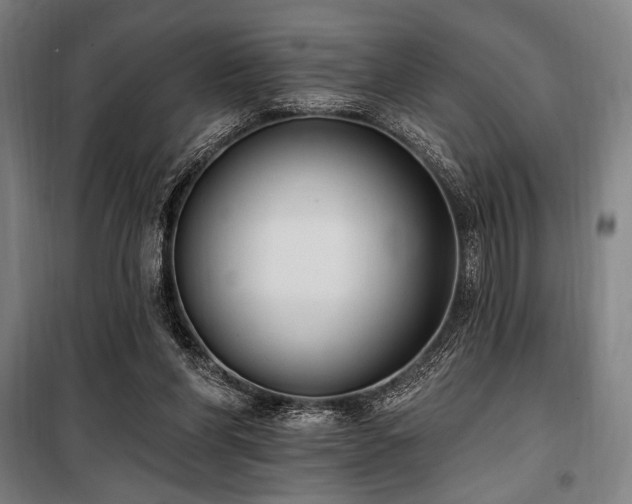 X0000100330206200806051542