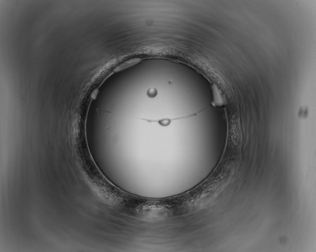 X0000100330208200806051542