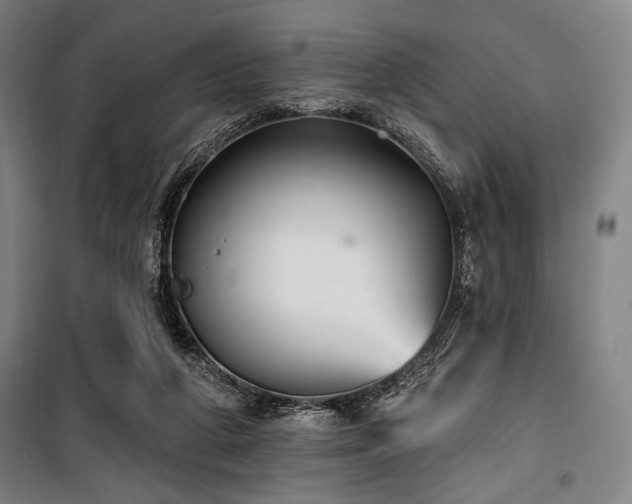 X0000100330210200806051542