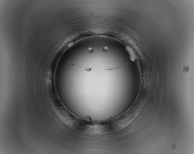 X0000100330212200806051542