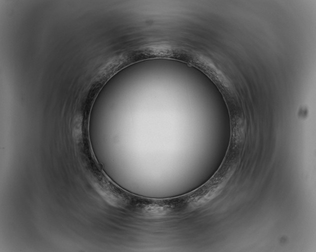 X0000100330213200806051542