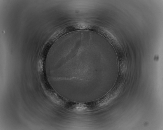 X0000100330214200806051542