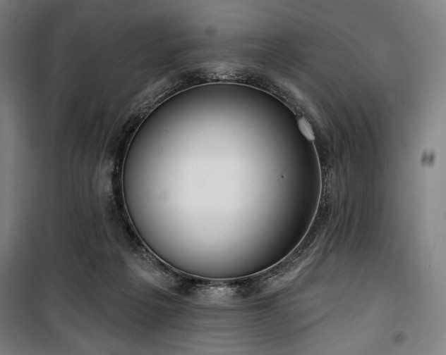 X0000100330217200806051542