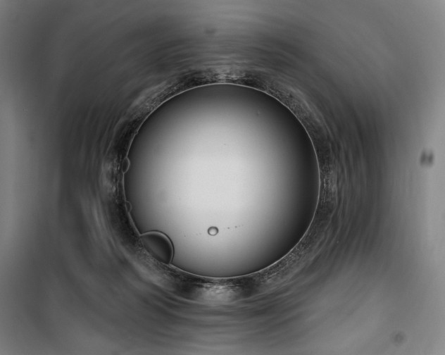 X0000100330218200806051542