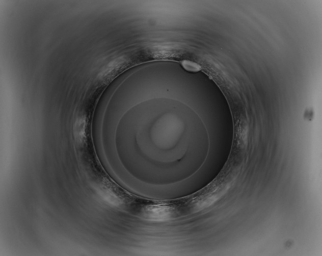 X0000100330219200806051542