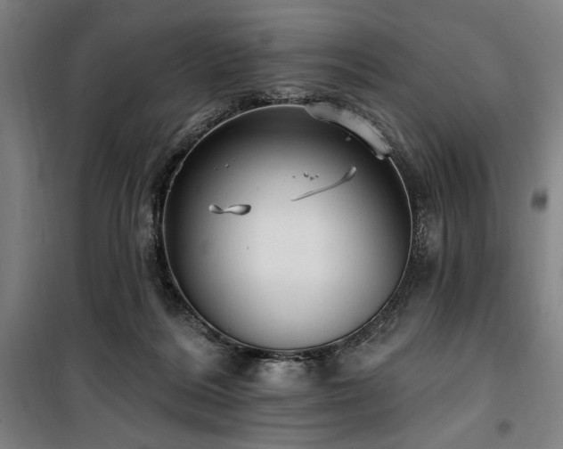 X0000100330220200806051542