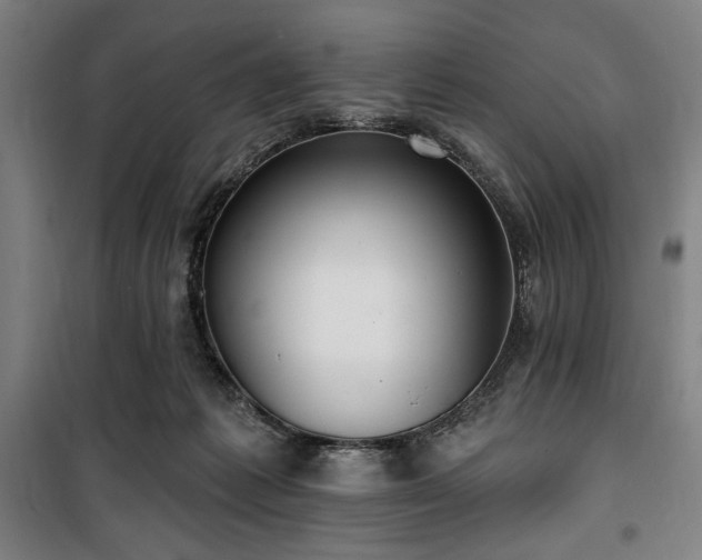 X0000100330221200806051542