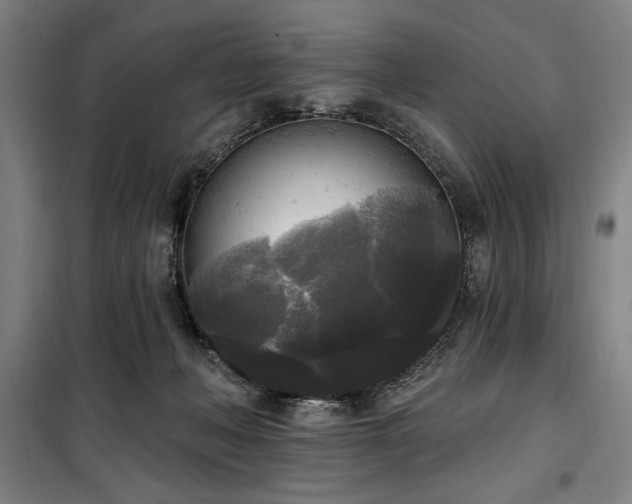 X0000100330222200806051542