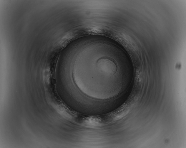 X0000100330223200806051542