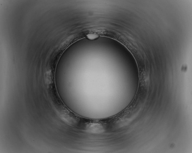 X0000100330224200806051542