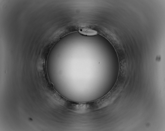 X0000100330225200806051542