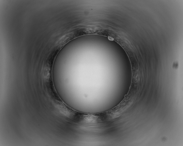 X0000100330226200806051542