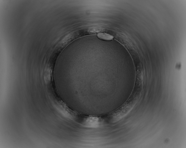 X0000100330227200806051542