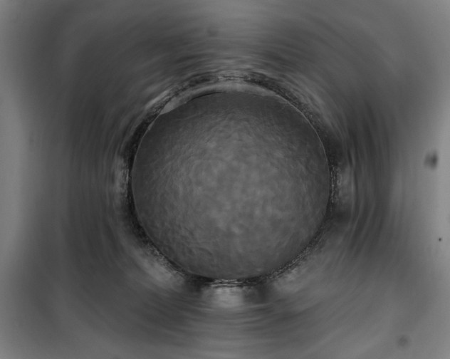 X0000100330228200806051541