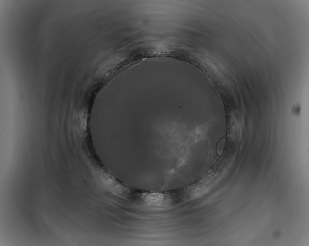 X0000100330230200806051541