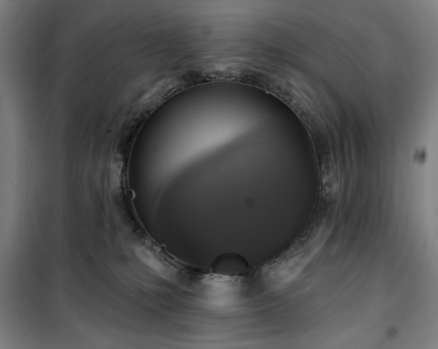 X0000100330231200806051541