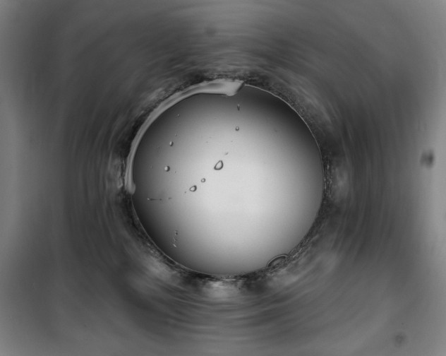 X0000100330232200806051541