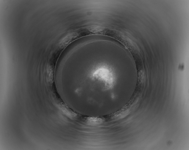 X0000100330234200806051541