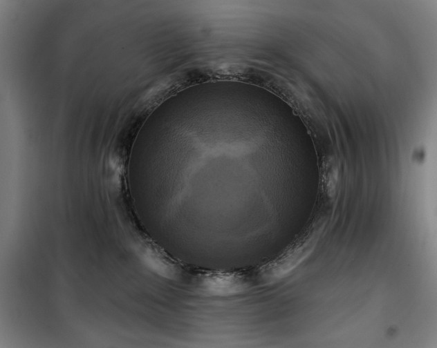 X0000100330235200806051541