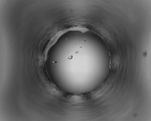 X0000100330236200806051541