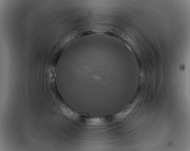 X0000100330237200806051541