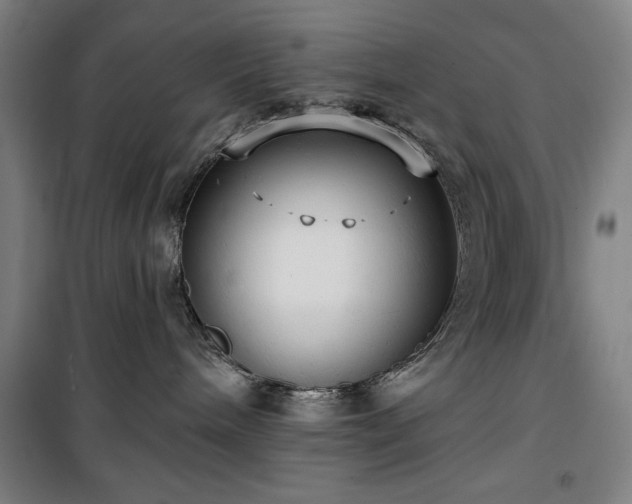 X0000100330240200806051541