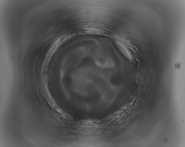 X0000100330241200806051540