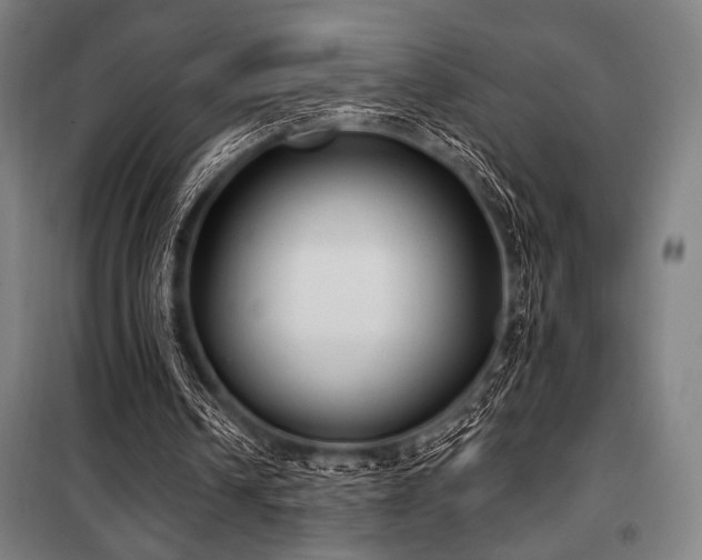 X0000100330242200806051540