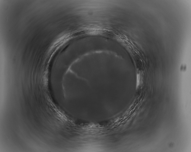 X0000100330243200806051541